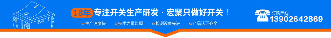宏聚開關
